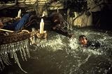 Jumanji (Two-Disc Blu-ray/DVD Combo)