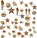 511ZiF3E2pL. SL75  Moving Sea Shells