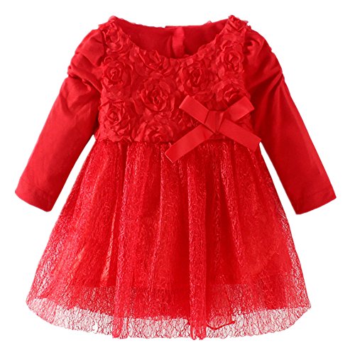LittleSpring Baby Girls' Dresses Flowers Princess