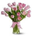 20 Pink Tulips - Premium