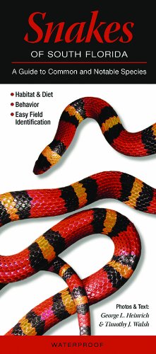 Snakes of South Florida: A Guide to Common & Notable Species (Quick Reference Guides)