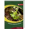 Die 12 wichtigsten essbaren Wildpflanzen: Bestimmen, sammeln und zubereiten