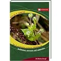 Die 12 wichtigsten essbaren Wildpflanzen: Bestimmen, sammeln und zubereiten