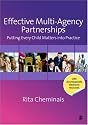 Effective Multi-Agency Partnerships: Putting Every Child Matters into Practice