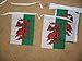 9m Wales Welsh Dragon Polyester Flag Bunting