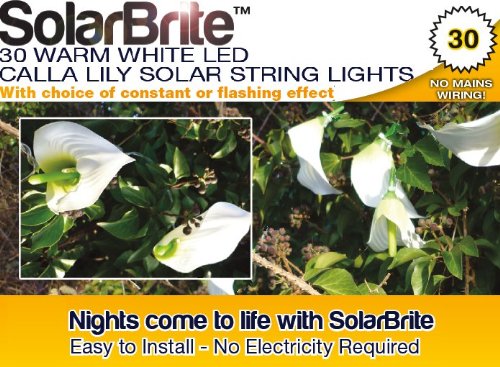 Guirlande lumineuse solaire fée lys calla 30 blanc chaud LED. clignotantes & constantes , mur / barrière support & Piquet Inclus
