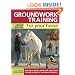 Groundwork Training for your Horse: Develop a Deeper Bond with Your Horse Through a Range of Exercises and Games