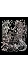 Holographic Engraving Sea Horses