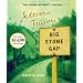 Big Stone Gap: A Novel (Big Stone Gap Novels)
