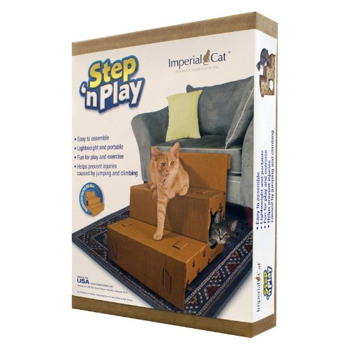 Step 'N Play Pet Steps