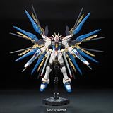 RG ストライクフリーダムガンダムの説明書・パッケージ（箱絵）、完成