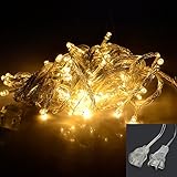 NexScene NEW 8 Modes 10M 100 LED String Fairy Light for Wedding Christmas Party Holiday(WarmWhite with Tail Plug)