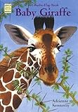 Baby giraffe