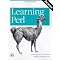 Perl - What you need to get good at it