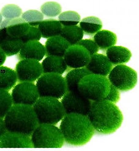 Marimo Moss Ball-live aquarium plant decoration ornament java fish tank O
