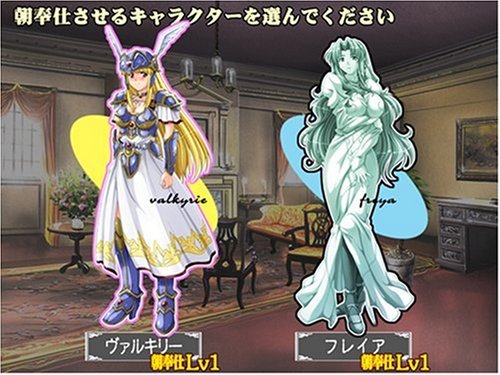 戦乙女ヴァルキリー「あなたに全てを捧げます」