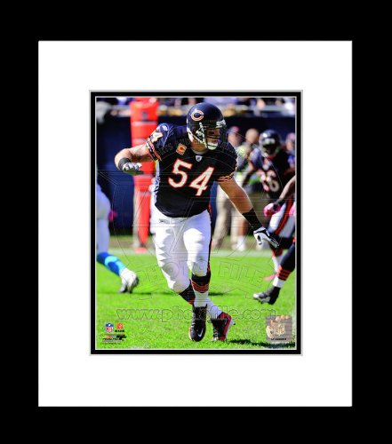 Chicago Bears Brian Urlacher 2011 Action Framed Picture 8x10