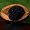 The Spice Lab's Hawaiian Black Lava Sea Salt - 2 Pounds ( Coarse ) - Made in Hawaii, USA