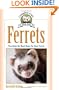 Ferrets: Complete Care Guide