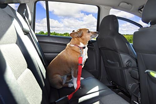 Premium Adjustable Car Safety Belt For Dogs with Dog Travel Bowl. Collapsible Water / Food Dish, Plastic Design, More Durable Than Silicone Version. Comes with Complementary Ebook, Sent After Purchase.