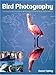 Bird Photography: Choosing the Best Destinations-Planning a Trip-Taking Great Photographs