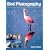 Bird Photography: Choosing the Best Destinations, Planning a Trip, Taking Great Photographs