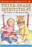 The Riddle of the Stolen Sand (Ready-For-Chapters: Third-Grade Detectives #5)