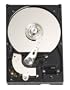 Western Digital 250 GB Caviar Blue 100 Mb/s 7200 RPM 8 MB Cache Bulk/OEM Desktop Hard Drive - WD2500AAJB