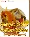 Search : Quick and Easy Fajitas Recipes [Lovelyporch Cooking Books]