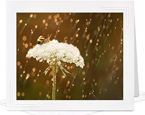 Children's Greeting Card of Snail in Summer Rain Shower - frameable metallic photo