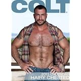 Colt Hairy Chested 2013 Calendarby Colt Studio Group