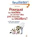 Pourquoi les vaches ne peuvent-elles pas descendre les escaliers ?
