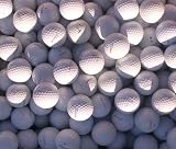 50 Titleist Lakeballs Pro V1 und Pro V1x