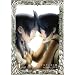 �h���A�[�K�̓�~the Aegis of URUK~��1�̋{ [DVD]
