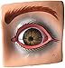 Herindera Human Eye with Orbit RS.400.00