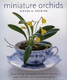 Miniature Orchids