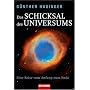 Das Schicksal des Universums: Eine Reise vom Anfang zum Ende