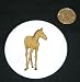 3 button / pin printed with domestic, juvenile, horse, foal, fol, equine, livestock, animal