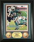 NFL Miami Dolphins 24KT Gold Coin Photo Mint