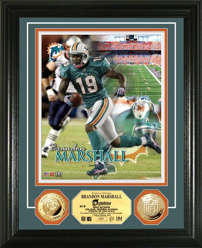 NFL Miami Dolphins 24KT Gold Coin Photo Mint