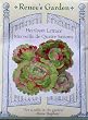 Lettuce Heirloom Merveille De Quatre Saison Seeds 700 Seeds