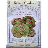LettuceHeirloomMerveilleDeQuatreSaisonSeeds700Seeds