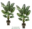 TWO 5' Artificial Banana Tropical Trees, with No Pot,