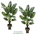 TWO 5' Artificial Banana Tropical Trees, with No Pot,