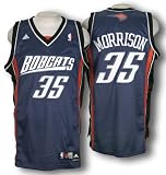 Charlotte Bobcats Adam Morrison #35 Sewn NBA Basketball Swingman Jersey, Blue