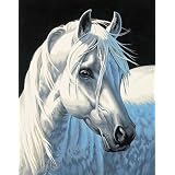 Dimensions Paint By Number Kit - White Stallion