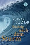 Produkt-Bild: S&uuml;chtig nach dem Sturm