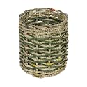 Recycled Paper Green Pencil Cup "Rings True Pencil Cup [Green]" -Fair Trade Gifts