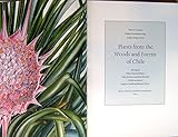 Plants from the woods and forests of Chile