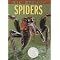 Books I use for a Kindergarten Science unit on Spiders